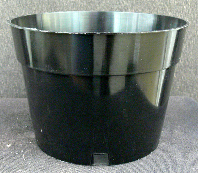 Plastic Pots  6" - Image 2