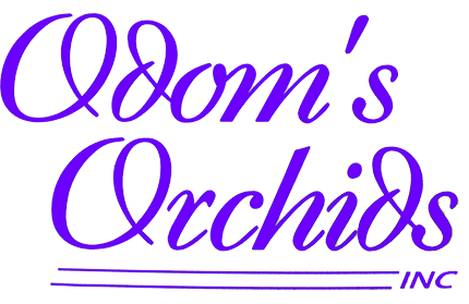 odoms-logo